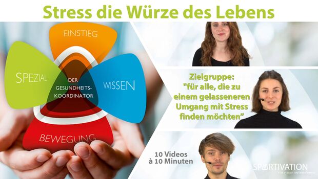Stress - Die Würze des Lebens | Eine 10-teilige Videoreihe Stress - Die Würze des Lebens | Eine 10-teilige Videoreihe