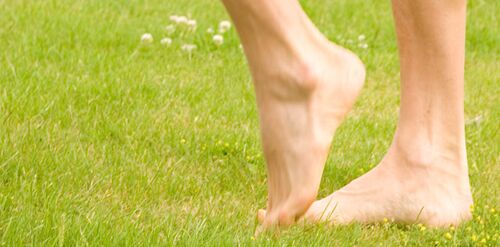 Materialen - Mehr Gesundheit für jeden Mitarbeiter Materialen - Mehr Gesundheit für jeden Mitarbeiter